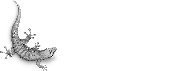 Bostik